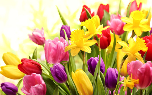 782511 (a): :2560x1600